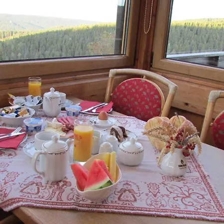 Guest house Berggasthaus & Schoene Aussicht 3*