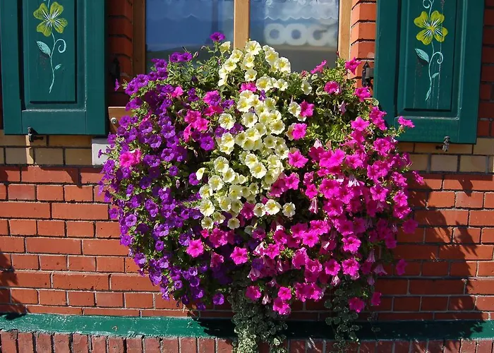 بيت ضيافة Berggasthaus & Schoene Aussicht