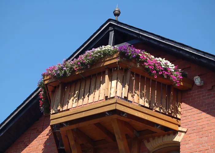 Berggasthaus & Schoene Aussicht Guest house 3*